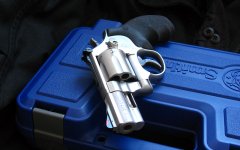 S&W 686 2.5 in. 2.jpg