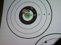 12 shots 30 feet.jpg