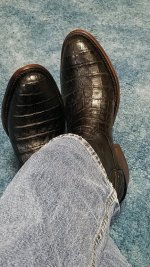 RepublicBootCoAlligator.jpg