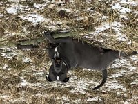 067D4086-81A2-4DBF-B863-F1C04EA1D5A6.jpg