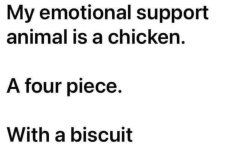 chicken-w-biscuit.jpg
