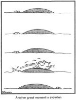 another great moment in evolution.jpg