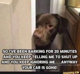 CAR.jpeg