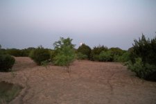 moon rise 1.jpg
