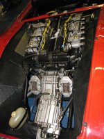 IMG_3195.jpg