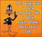 drunk-duck.jpg