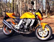 Z1000 Feb 04-2 (2).jpg