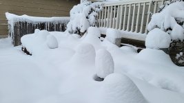 Snow_one.jpg