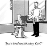 Just a head scratch.jpg