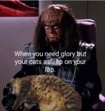 KLINGON.jpeg
