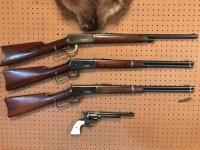 Win. 1894s.jpg