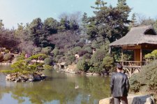 Japanese garden-0003 .jpg