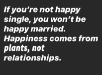 Happiness.jpeg
