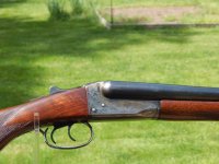 Stevens -3.jpg