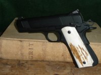 Bill's Guns 211.JPG