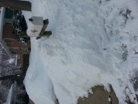 20190308_071035.jpg