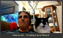 To Boldly Go Where No Cat Has Gone Before copy.jpg