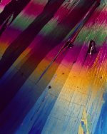 FA7A6DA0-5B0E-4F11-994A-EBDE5E12C80F.jpg