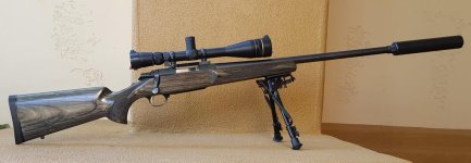 Gila's A-Bolt II Varmint 308_crop.jpg