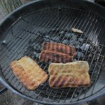 IMG_0992.jpg