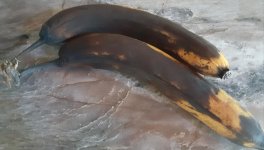 black 'nanners.jpg