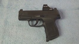 P365.jpg