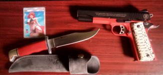 Pyra_SR1911+Buck_119.jpg