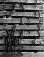 Horse shoes A.jpg