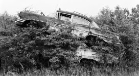 Junk Cars A.jpg