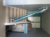 ladder 1.jpg