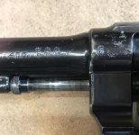 D3585CDC-0ADA-4538-9356-7E669E21CFF1.jpg