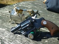 32S&W Long.jpg