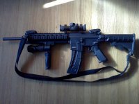 M&P 15-22.jpg
