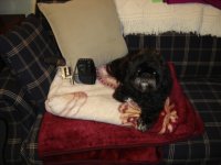 DSC00278.JPG