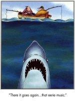 Shark.jpg