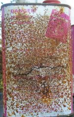 IMR4895_20090928_2.jpg