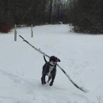 37D5E755-F5E4-438B-AA06-9979150DA324.jpeg
