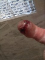 IMG_20200921_131712.jpg
