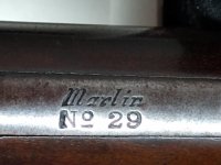 MarlinNo29 (5).jpg