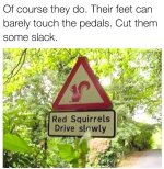 Red squirrel sign.jpg