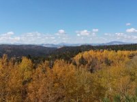 fall_colors_6Oct22.jpg