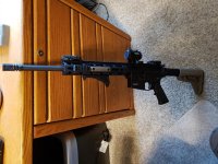 S&W 15-22.jpg