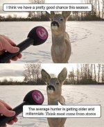 thumbnail (3).jpg