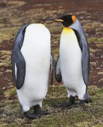 Head to head talk.jpg