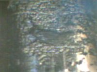 PICT0006.JPG