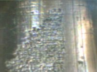PICT0007.JPG