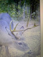 thumbnail_15094.jpg