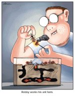 ant farm.jpg