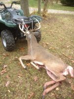 Deer2_2014.jpg