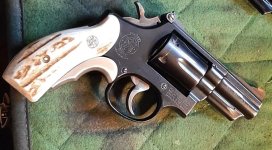 M19 & Grashorns.jpg
